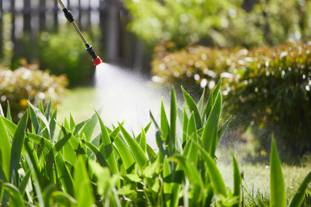 Tamper-Resistant Bait Stations for Rodents in Shawneeland