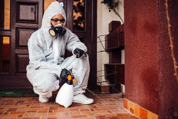 Attic and Crawl Space Rodent Treatment in Shawneeland