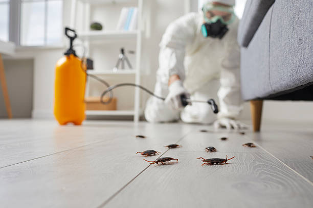 Commercial Rodent Management in Shawneeland